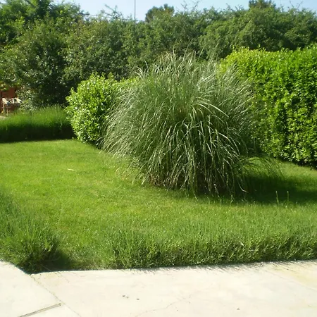 Apartamento By The Sea Zaton, Zadar - 15917