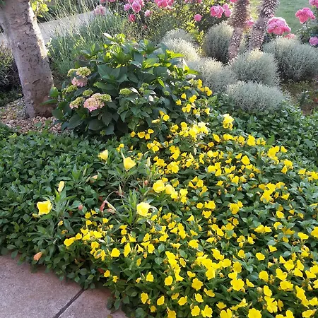 Διαμέρισμα By The Sea Zaton, Zadar - 15917